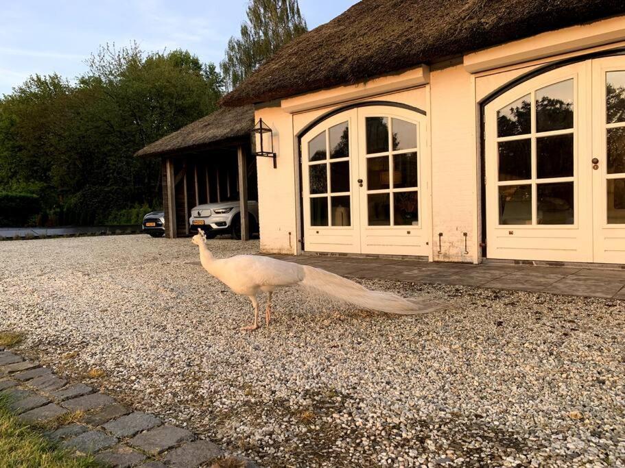 Mastbosch Estate Carriage House * Breda
